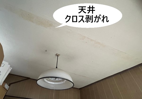 天井　クロス剥がれ